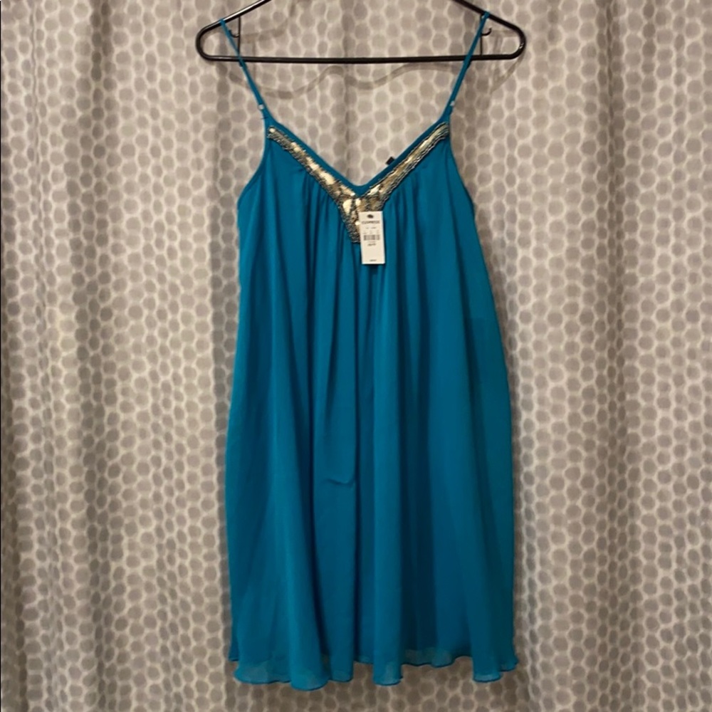 Express Swing dress